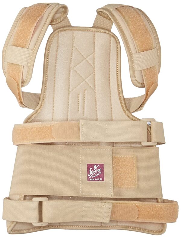 Dorso Lumbar Spinal Brace Flamingo